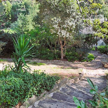 Badger'S Lodge Knysna Exterior photo