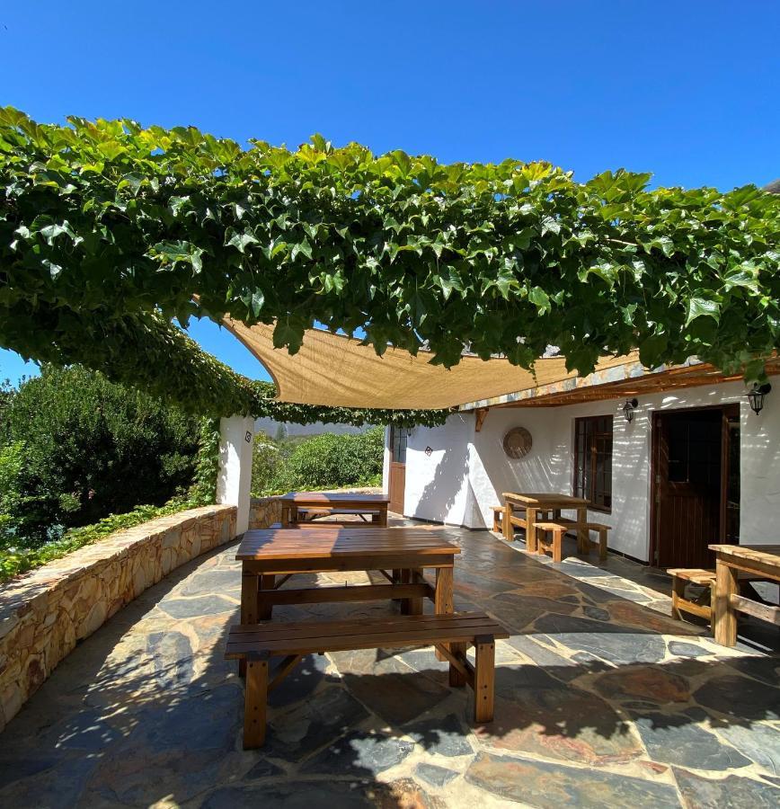 Badger'S Lodge Knysna Exterior photo