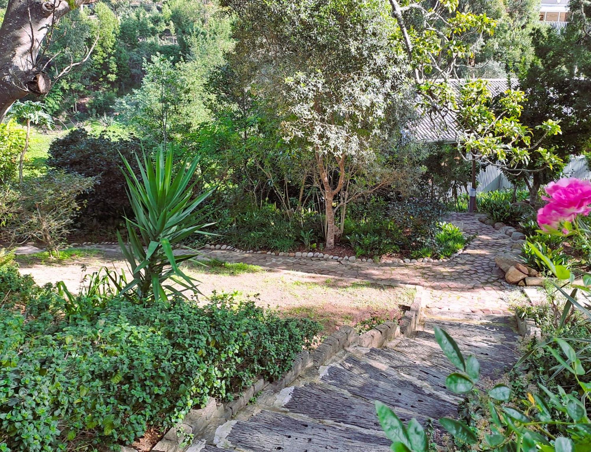 Badger'S Lodge Knysna Exterior photo